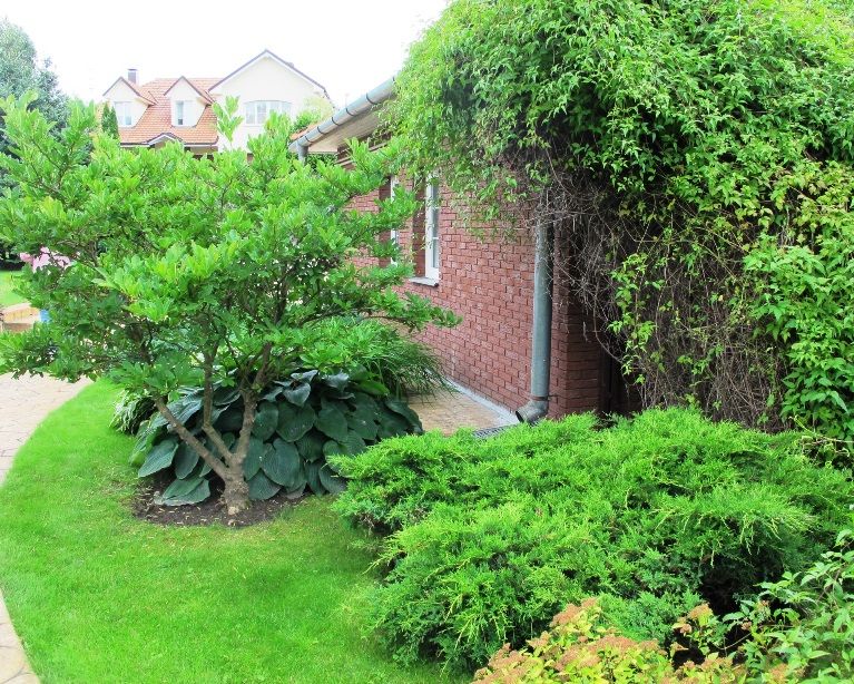 Ливадия на Истре